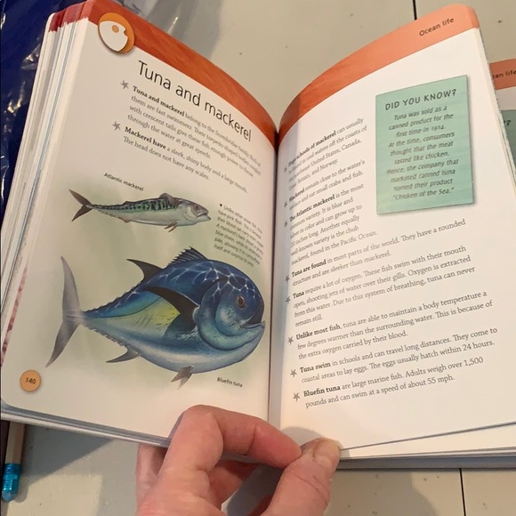 NWT 2 coffee table books , encyclopedia of birds & oceans - Picture 2 of 6